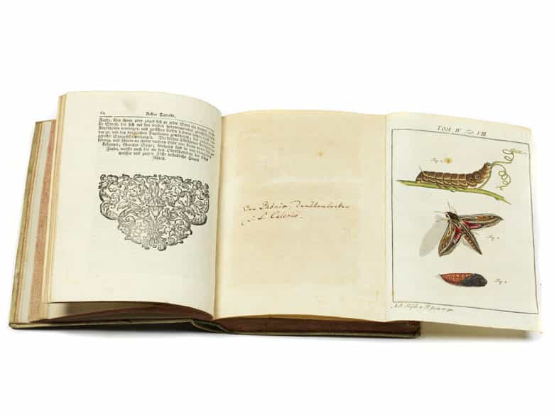 Detailabbildung:  Bücherkonvolut, insgesamt neun Bände