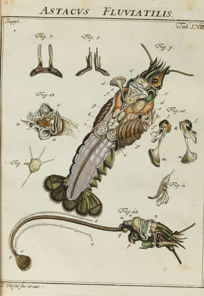 Detailabbildung:  Bücherkonvolut, insgesamt neun Bände