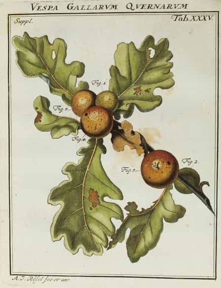 Detailabbildung:  Bücherkonvolut, insgesamt neun Bände