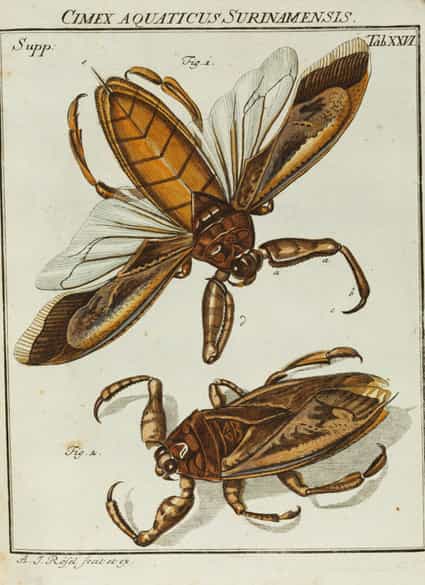 Detailabbildung:  Bücherkonvolut, insgesamt neun Bände