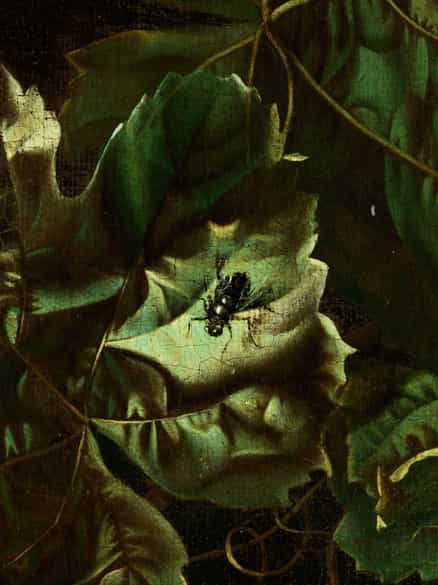 Detailabbildung: Willem van Aelst, 1627 Utrecht/ Delft – 1683 Amsterdam