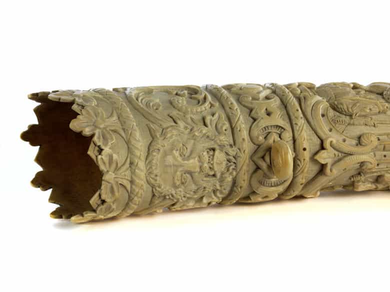 Detailabbildung: Großes Elfenbeinhorn