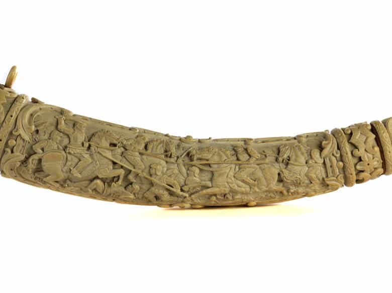 Detailabbildung: Großes Elfenbeinhorn