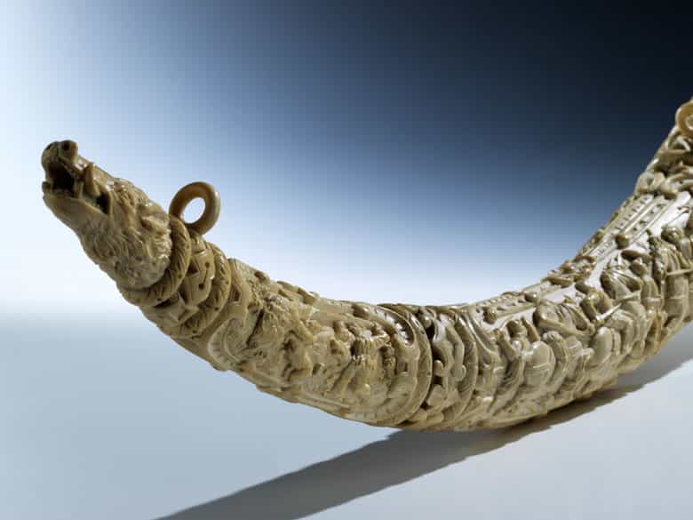 Detailabbildung: Großes Elfenbeinhorn