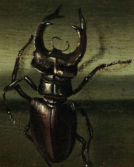 Detailabbildung: Peter van Kessel, gest. 1668 Ratzeburg, zug. 