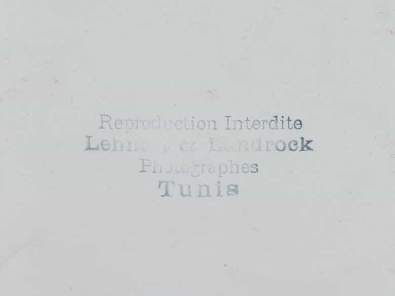 Detailabbildung: Tunesische Schönheit im Akt fotografiert mit Blüten im Haar auf einem Fauteuil neben Efeugewächs