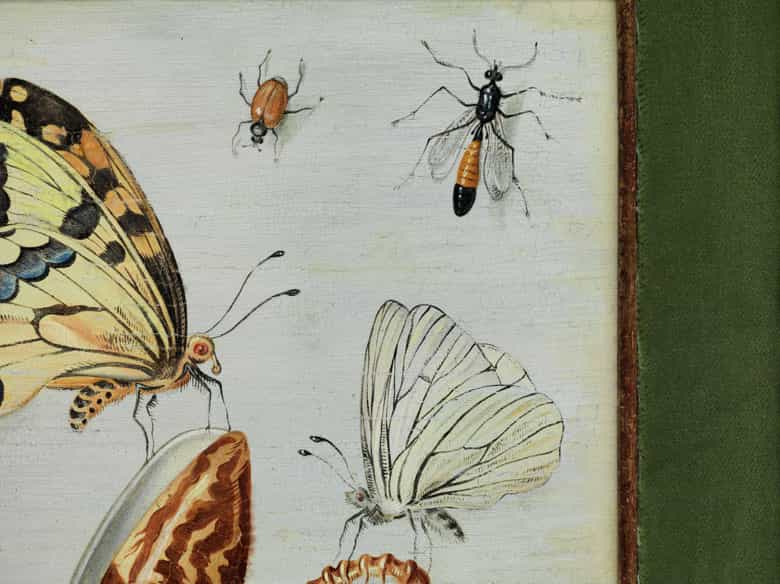 Detailabbildung: † Jan van Kessel I, um 1626 – 1679