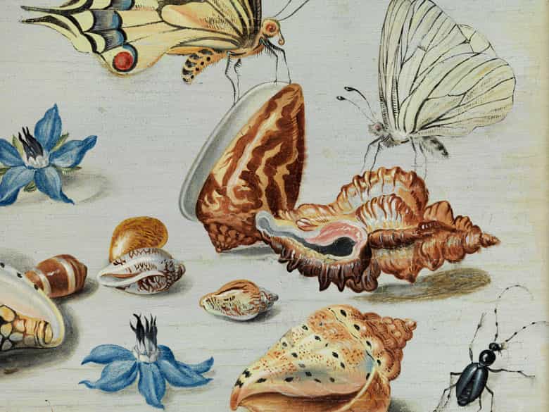 Detailabbildung: † Jan van Kessel I, um 1626 – 1679