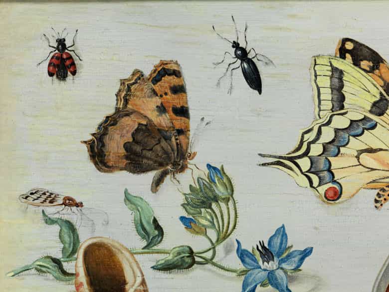 Detailabbildung: † Jan van Kessel I, um 1626 – 1679