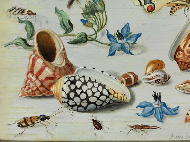 Detailabbildung: † Jan van Kessel I, um 1626 – 1679
