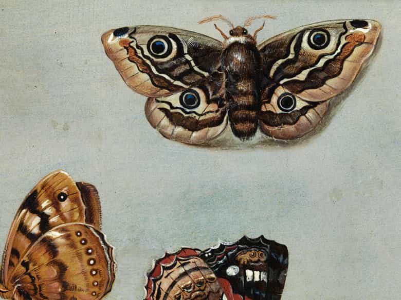 Detailabbildung: † Jan van Kessel I, um 1626 – 1679