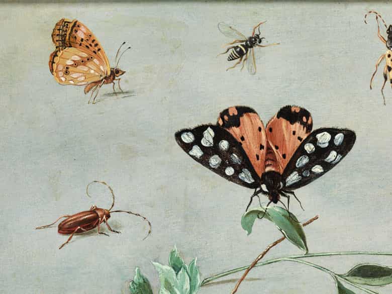 Detailabbildung: † Jan van Kessel I, um 1626 – 1679