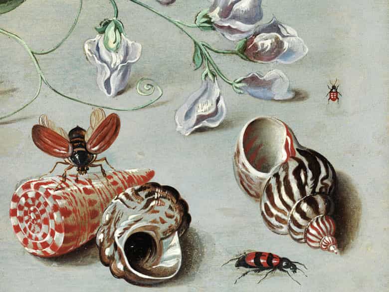 Detailabbildung: † Jan van Kessel I, um 1626 – 1679