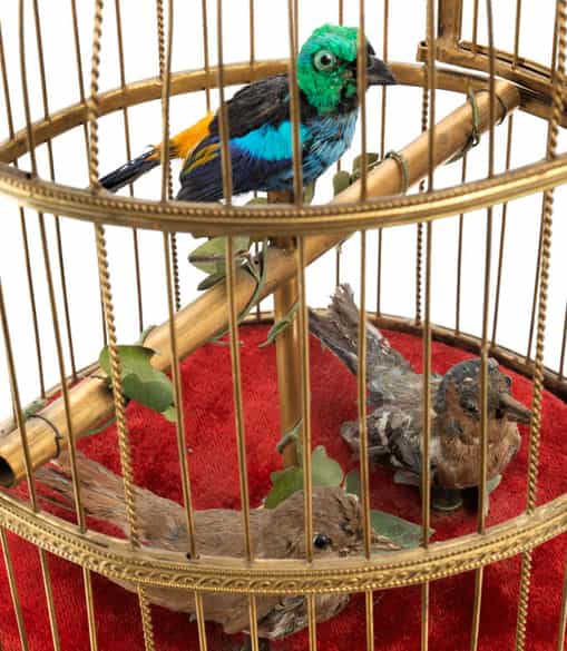 Detailabbildung: Großer Singvogelautomat mit Käfig