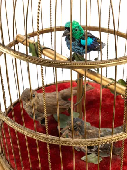 Detailabbildung: Großer Singvogelautomat mit Käfig