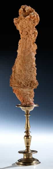 Detailabbildung: Außergewöhnliche Kalkstufe