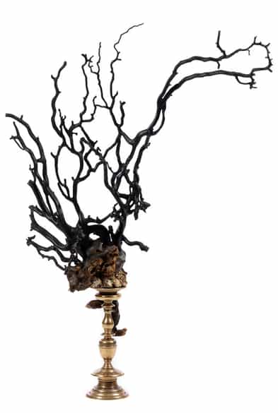 Detailabbildung: Außergewöhnliches korallenförmiges Objekt