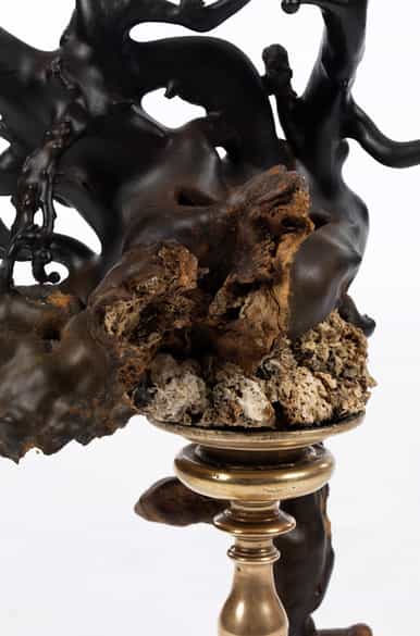 Detailabbildung: Außergewöhnliches korallenförmiges Objekt