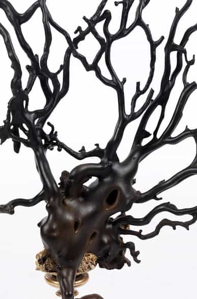 Detailabbildung: Außergewöhnliches korallenförmiges Objekt