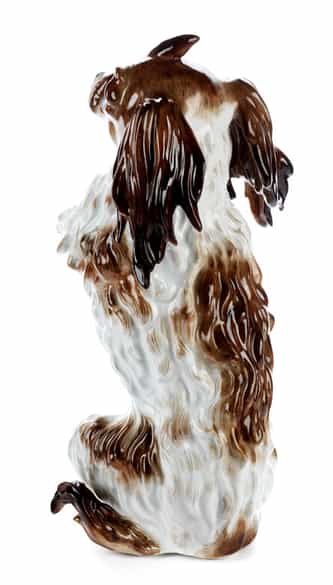 Detailabbildung: Bologneser Hündchen