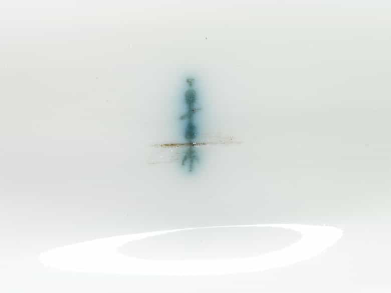 Detailabbildung: Berliner Eberkopf auf Presentoir