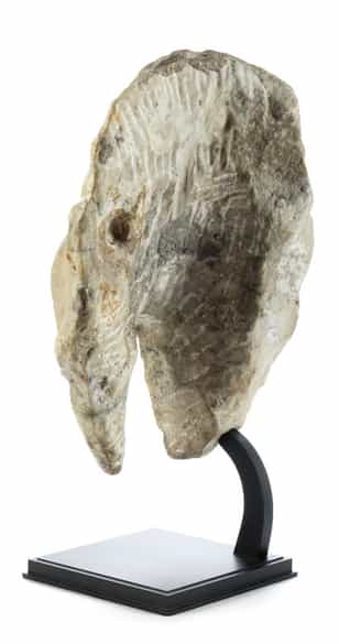 Detailabbildung: Brunnenmaske in Marmor