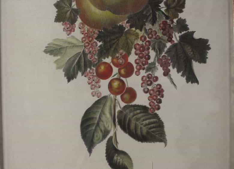 Detailabbildung: P. F. le Grand, 18. Jahrhundert