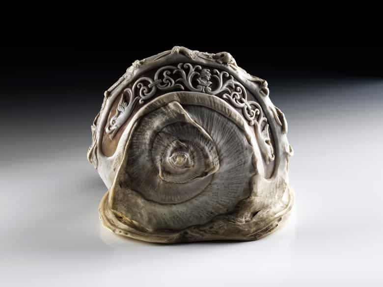 Detailabbildung: Italienische Muschel mit Caméeschliff