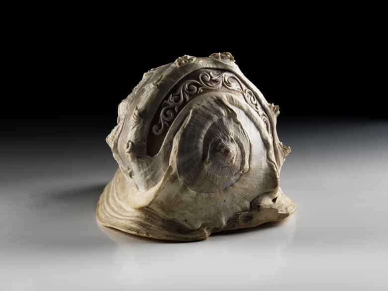 Detailabbildung: Große italienische Muschel mit Caméeschliff