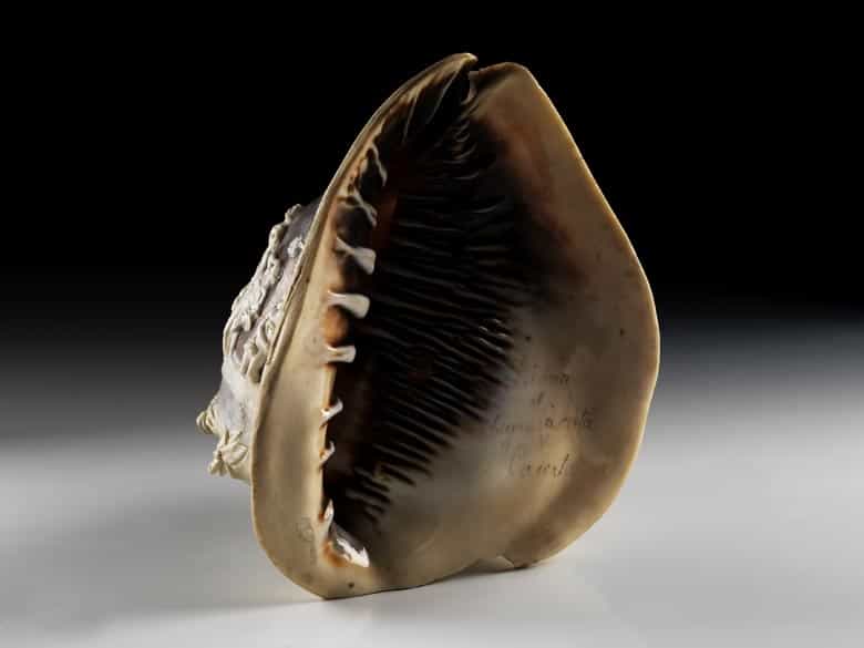 Detailabbildung: Große italienische Muschel mit Caméeschliff