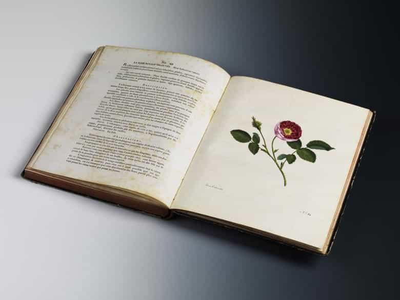 Detailabbildung: Carl Gottlob Roessig, 1752 - 1806