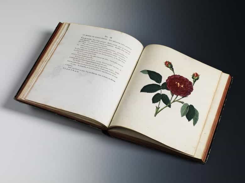 Detailabbildung: Carl Gottlob Roessig, 1752 - 1806