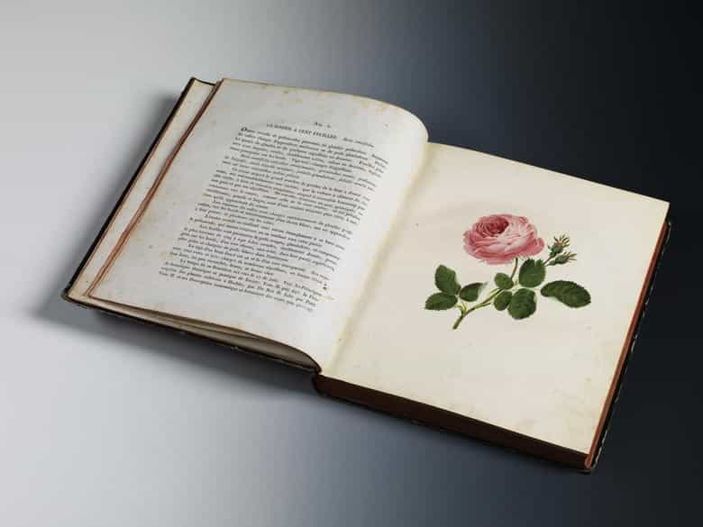 Detailabbildung: Carl Gottlob Roessig, 1752 - 1806