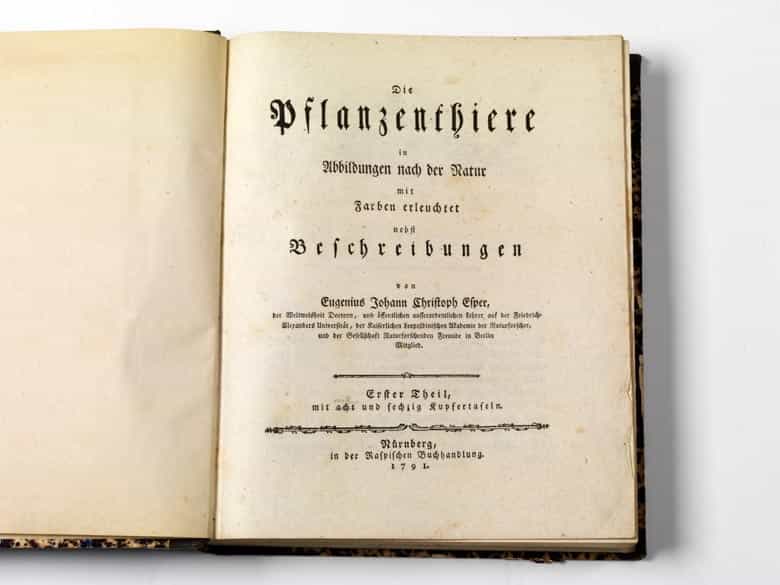 Detailabbildung: Eugen Johann Christoph Esper, 1742 - 1810