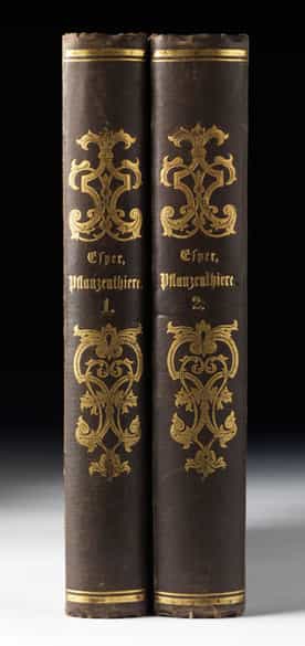 Detailabbildung: Eugen Johann Christoph Esper, 1742 - 1810