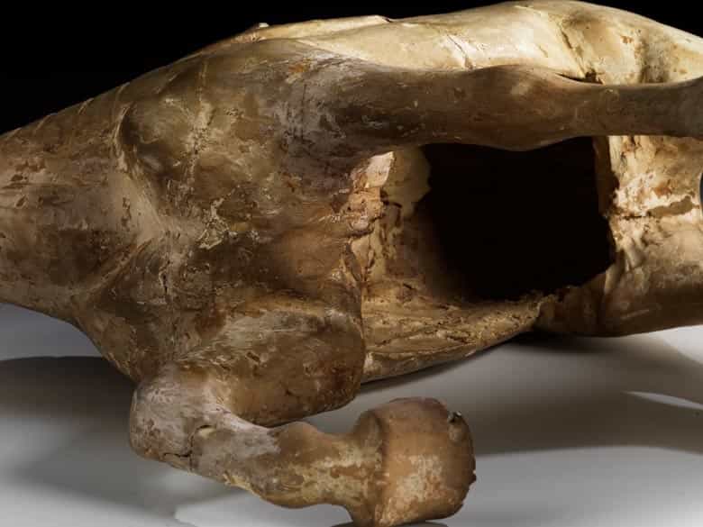 Detailabbildung: Chinesisches Terracotta-Pferd