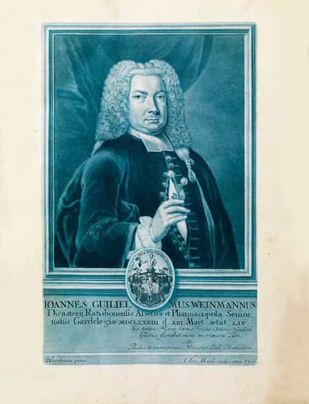 Detailabbildung: Johann Wilhelm Weinmann