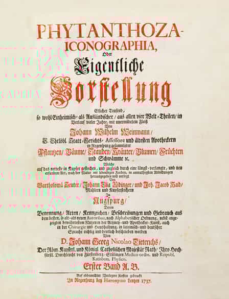 Detailabbildung: Johann Wilhelm Weinmann