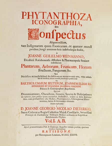 Detailabbildung: Johann Wilhelm Weinmann