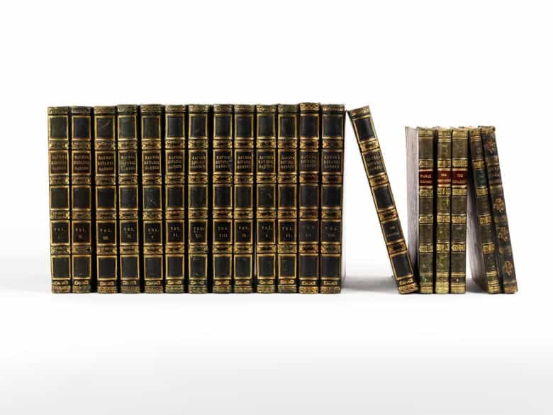 Detailabbildung: Benjamin Maund 