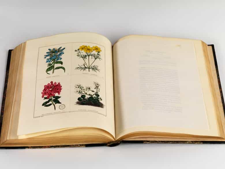 Detailabbildung: Benjamin Maund 