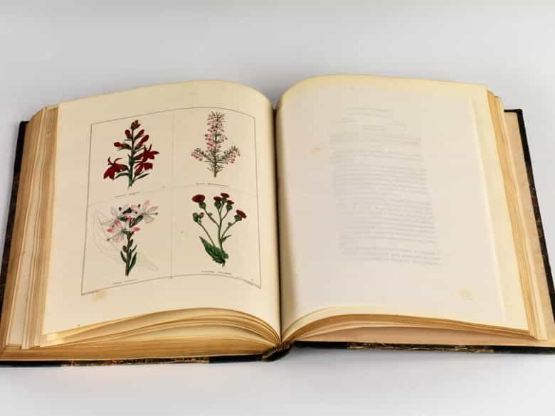 Detailabbildung: Benjamin Maund 