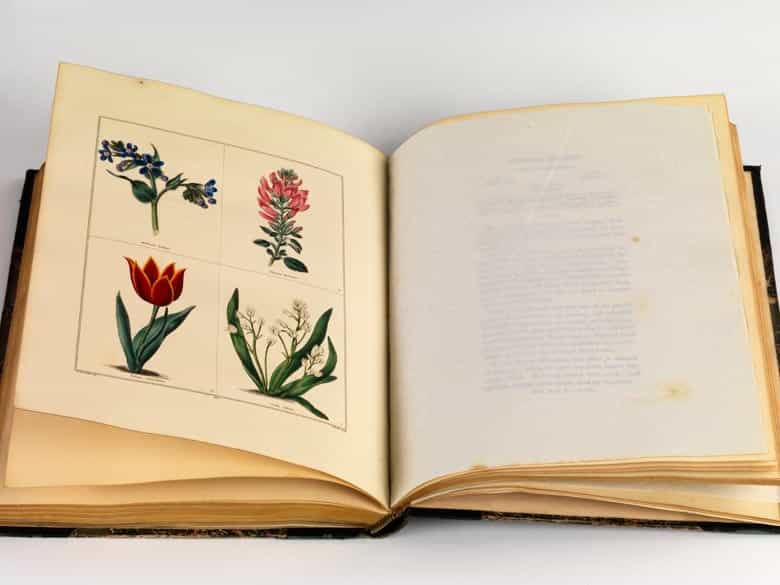 Detailabbildung: Benjamin Maund 