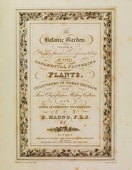 Detailabbildung: Benjamin Maund 