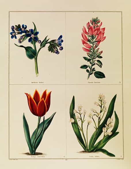 Detailabbildung: Benjamin Maund 