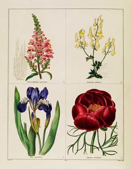 Detailabbildung: Benjamin Maund 