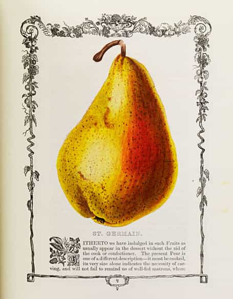 Detailabbildung: Benjamin Maund 