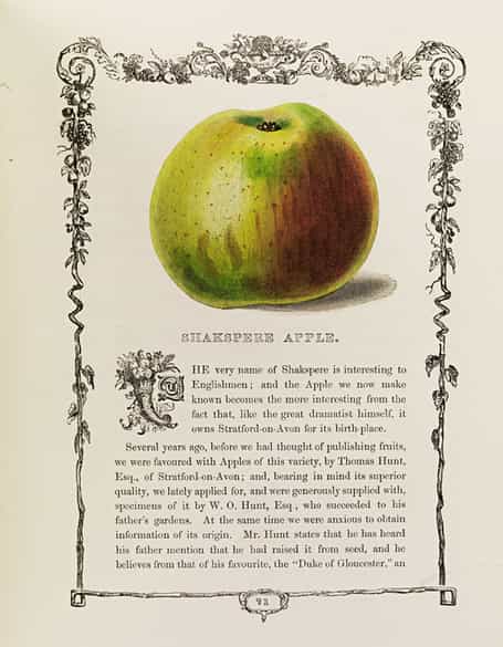 Detailabbildung: Benjamin Maund 