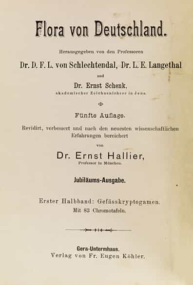 Detailabbildung: D. F. L. von Schlechtendahl, L. E. Langethal und E. Schenk