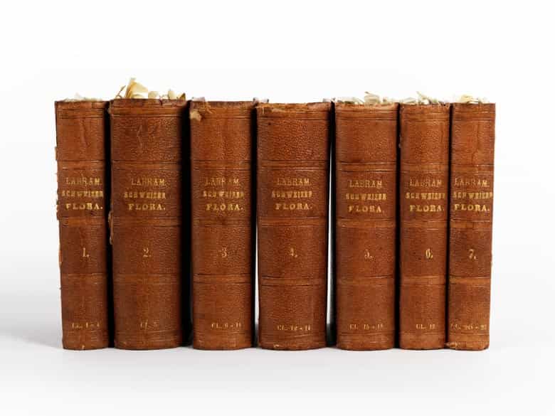 Detailabbildung: Jonas David Hegetschweiler